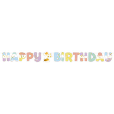 Letter Banner 1st Birthday Rainbow 180 cm x 15 cm