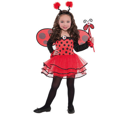 Child Costume Ballerina Bug   Age 4 - 6 Years