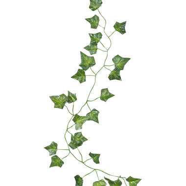 Foliage Vines