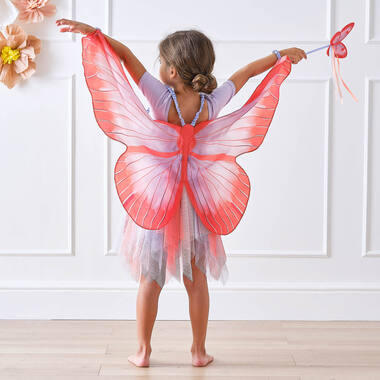 Butterfly Wings
