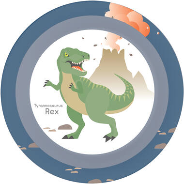 4 Plates Happy Dinosaur Plastic Reusable 21,2 cm