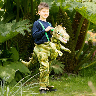 Child Costume Ride On Dinosaur Age 3 - 5 Years
