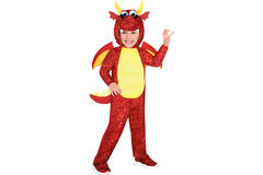 Child Costume Dragon Age 4-6 Years
