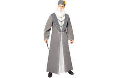 Adult Costume Dumbledore Size XL
