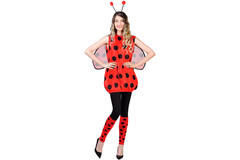 Adult Costume Ladybug Darling Size S/M