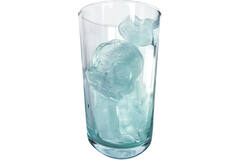 Ice Cube Form Skulls and Bones