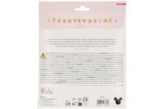 Letter Banner - Disney Princess Hen Party - 3 m