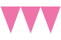Pennant Banner Bright Pink Paper 457 x 17.7 cm