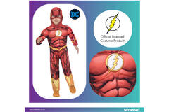 Child Costume The Flash 8-10 Years