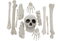 Bones Decoration Kit