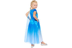 Child Costume Ice Princess Age 8-10 Years