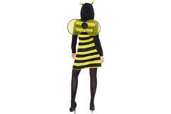 Adult Costume Bee Fleece Dress - Ladies Size M/L