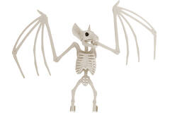 Skeleton Bat Plastic