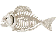Skeleton Piranha Plastic