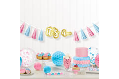 Tassel Garland The Big Reveal Paper Length 240 cm