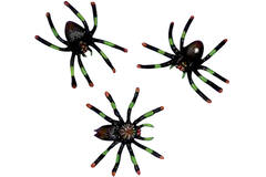 8 Spiders Plastic Assorted