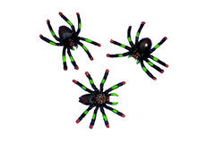 8 Spiders Plastic Assorted