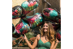 Shape Teal&Pink Butterfly