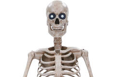 Animatronic XXL Standing Towering Skeleton 243 cm