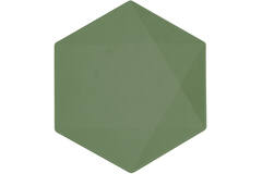 6 Plates Vert Decor Hexagonal Dark Green 26.1 x 22.6 cm