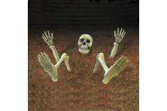 Ground Decoration Skeleton Plastic 10 Pieces 18 - 32 cm