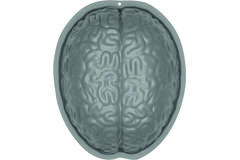 Pudding Mould Brain-Shaped Plastic