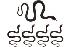 5 Snakes Black Plastic Length 35 cm