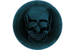 8 Plates Boneshine Fever Round Paper 23 cm