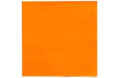 20 Napkins Pumpkin 33 x 33 cm