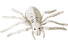 Skeleton Spider Plastic
