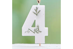 Candle - Number 4 - Pressed Foliage