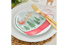 Paper Napkins - Snowglobe Shaped Napkins