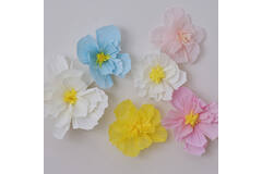 Backdrop - Tissue Paper Flowers