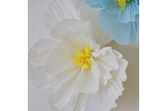 Backdrop - Tissue Paper Flowers