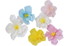 Backdrop - Tissue Paper Flowers