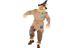 Mens' Costume Mr. Scarecrow Plus