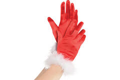 Costume Accessory Gloves Mrs Clause One Size