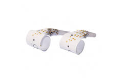 4 Blowouts Golden Wishes Plastic / Paper 30 cm