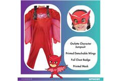 Child Costume PJ Masks Owlette Good Age 3 - 4 Years