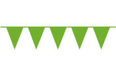 Pennant Banner Kiwi Green Plastic 1000 x 32 cm