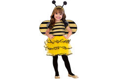 Baby Costume Bumble bee Age 2-3 Years