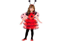 Baby Costume Ladybird Age 2-3 Years