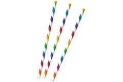 12 Drinking Straws Bright Rainbow Paper 19.7 cm