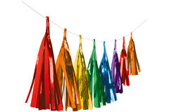 Garland Tassel Bright Rainbow Foil 304 cm