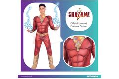 Adult Costume Shazam Mens M
