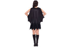 Adult Costume Batgirl Classic Size S