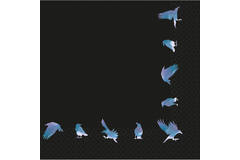 16 Napkins Bonshine Fever 33  x 33 cm