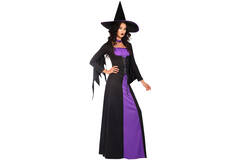 Adult Costume Classic Witch Size M