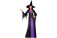 Adult Costume Classic Witch Size XL