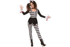 Adult Costume Jester Size M